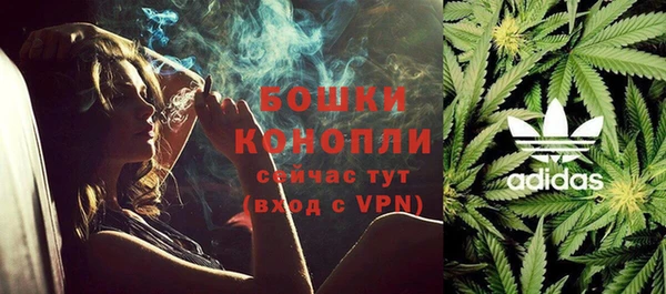 прущие грибы Белоозёрский